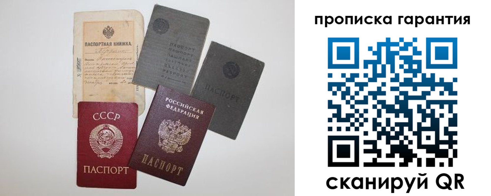 прописка 2025 в Электрогорске
